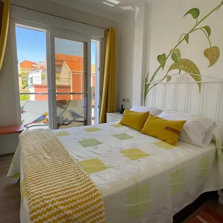 Διαμέρισμα Apartamento B